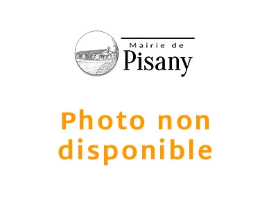 Mairie de Pisany